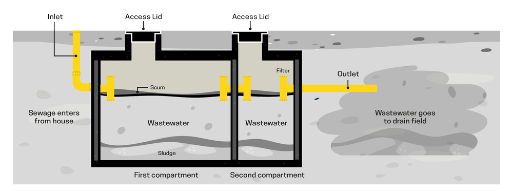 Diagram of a two-compartment septic tank system. Wastewater enters from the house into the first compartment. It flows into the second, passing a filter, and exits through an outlet to a drain field. Labeled sections show scum and sludge—a drainage contractor's guide to preventing blocked drains.