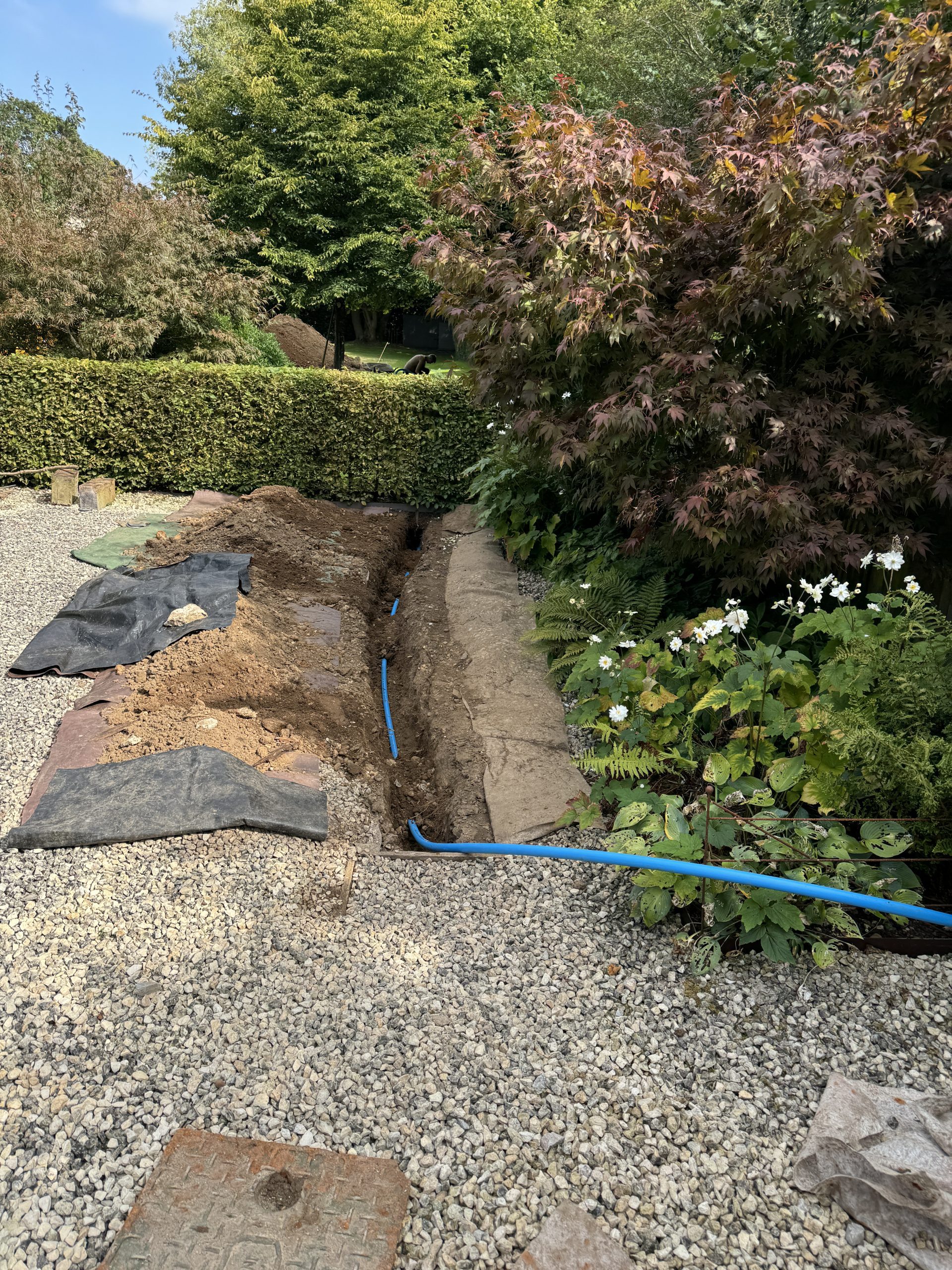 A garden with a gravel path and a freshly dug trench containing a blue pipe. Soil piles and fabric sheets lie nearby, with green shrubs, flowering plants, and trees surrounding the area.