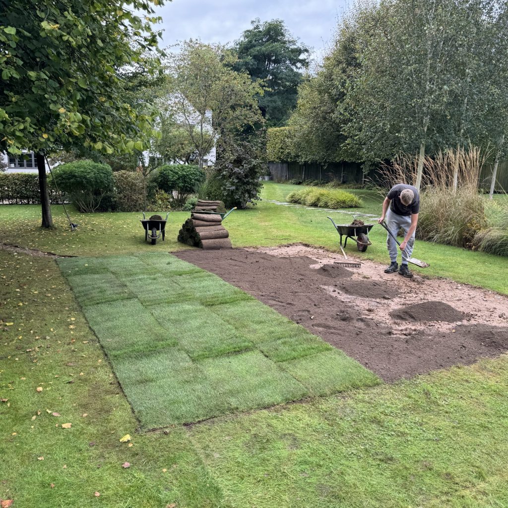 A person spreads soil over a patch of ground in a garden, with rolls of sod, wheelbarrows, and newly laid grass nearby. Trees and shrubs surround the work area on a cloudy day.