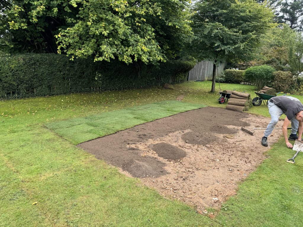 A person is laying rolls of turf on a patchy lawn, with some new sod already unrolled and more rolls and tools visible nearby. There are trees, hedges, and a wheelbarrow in the background.