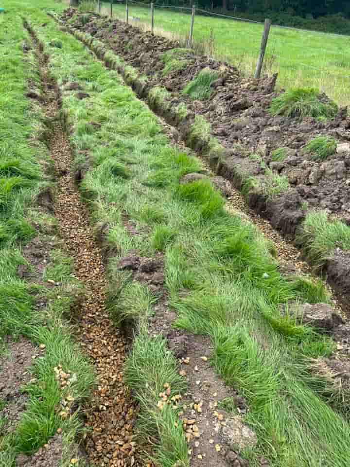 A grassy field with two narrow trenches filled with gravel, running parallel through the grass. Soil and clumps of dirt are piled alongside the trenches, next to a fence line.