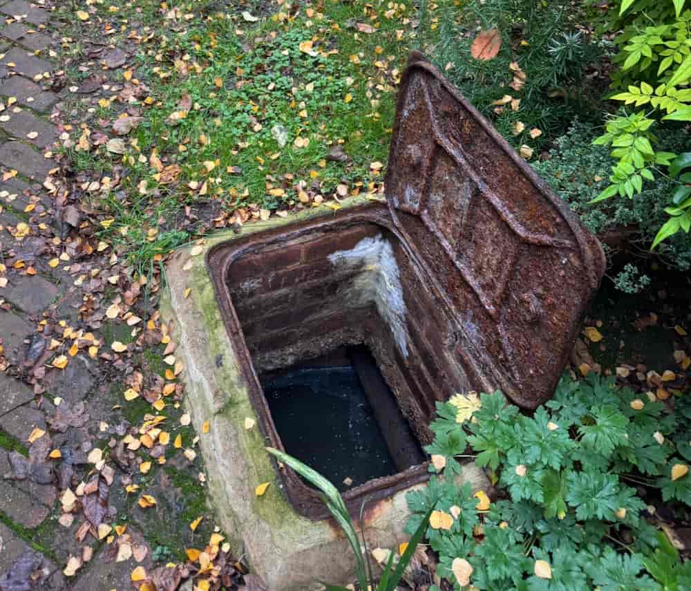 An open, rusted metal drain cover reveals a deep, brick-lined hole surrounded by green plants and fallen leaves on a garden path.