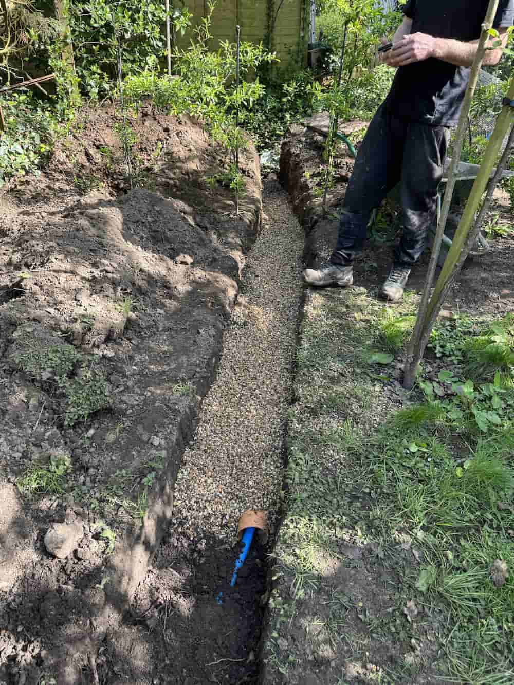 A person stands next to a narrow trench filled with gravel in a garden. A blue pipe and brown fitting are visible at the end of the trench, surrounded by green plants and soil mounds.